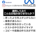 Meta広告運用コンサル◆プロが全力のご提案します 【壁打ちと相談】改善・戦略を全て視て売上コミットのアドバイス イメージ2
