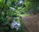 あなたの悩みに寄り添います 友だちやママ友に話せない悩み、じっくり聞かせてください。 イメージ8