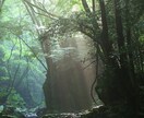 電話でお話聞きます 老若男女問わず、愚痴や誰にも言えない悩みなど何でもござれ♪ イメージ3