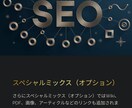 オールインワン被リンクSEOパッケージを提供します 「高品質なバックリンクで、効果的にドメイン力を強化します」 イメージ6
