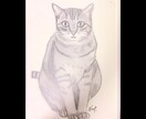 ペットの写真鉛筆画で描きます 大事なペットの似顔絵、リアルに鉛筆画で色紙に描きます イメージ2