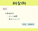 格安シンプル編集|カット&テロップのみ承ります BGM・SEなし、シンプル編集で低価格を実現 イメージ3