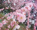 電話☆こころの悩み相談、話し相手を致します こころの相談、話し相手、愚痴聞き。職場のストレス緩和に。 イメージ1