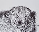 ペットをお飼いの方、似顔絵を描きます ボールペンだけで、一筆書きの、動物を描いています。 イメージ6