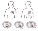 医療系イラスト描きます 薬剤師がシンプルでわかりやすいイラストを描きます。 イメージ3