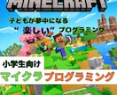 マイクラで楽しく学ぶプログラミング個別指導します 現役エンジニア・2児の父が、１人１人に合わせて指導します。 イメージ1