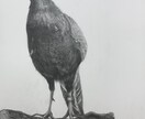 デッサン描きます 人や物を画用紙に鉛筆で描きます イメージ3