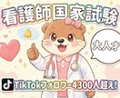 看護師国家試験の個別講義を行います 首席のTikTok人気講師が国試対策を徹底解説 イメージ1