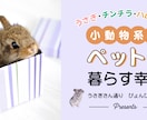 商品やイベントのバナー作成を行います 皆さんが伝えたいことをキャッチしてデザインにします！ イメージ7