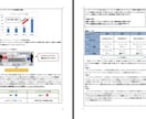 カウンセラー★持続化補助金採択書類をお譲りします 採択済みの事業計画書を【テンプレート】としても利用できます！ イメージ3