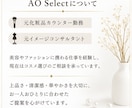 コスメギフト選びをお手伝いします 元化粧品カウンター・元イメコン経験を活かしてご提案 イメージ4