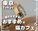 迅速丁寧！クオリティの高いバナー制作いたします バナー/ヘッダー/サムネイル/SNS投稿画像/広告画像など イメージ6