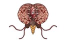 簡単にアナログやデジタルでイラストを描きます 手描きでのイラスト、デジタルでのイラストを描きます。 イメージ6