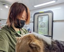 店舗なしで月収UP！店舗なしでの独立相談に乗ります 週休3日で稼ぐ仕組み！移動サロンの集客と運営術を伝授します イメージ7