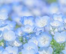 お仕事をはじめとする日々のお悩み伺います ホッとする居場所になりたい(*^^*) イメージ9