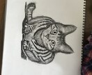動物イラスト描きます 色を使わずにボールペンだけで表現します。 イメージ2