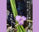 日々の雑談や小さな悩みも♡詩人HANA。が聞きます 詩人HANA。と1時間のチャット。雑談・お悩み何でもOK! イメージ7