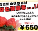 農家さん･個人販売店向け！チラシやPOPつくります 手に取ってもらえる、季節等にも合わせたチラシお作りします！ イメージ9