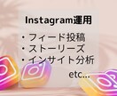 Instagramの運用代行、コンサル対応致します 効果的な運用をさせていただきます！ イメージ1