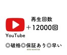 YouTube再生回数12000回増やします 1000回〜振り分け可能！再生時間、収益化に役立ちます！ イメージ1