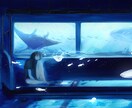 光を使った空気感のあるイラストを描きます 配信、CDジャケット、立ち絵などにどうぞ！ イメージ3