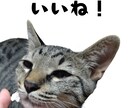 ペット写真からLINEスタンプ16個セット作ります ☆大切なペットをオリジナルLINEスタンプに イメージ4