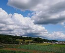 スマホで撮影した四季の風景写真をお届けします 「なんだか癒された」と思ってもらえる写真をめざしています イメージ4
