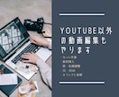 こだわりのあるyoutube用動画編集します カット編集、motionVFXの有料テロップ入れ可能です イメージ2