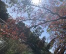 20代介護士が何でもお話し聞かせて頂きます 日々の不満や悩み、何でも話して下さい！ イメージ2