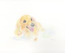 ペットちゃん似顔絵＊ふんわりやさしく描きます あなたのこころの陽だまりのような、そんな想いを大切に イメージ5
