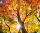 お部屋に飾る風景写真を提供します 写真歴10年　撮り溜めた風景写真をデータで提供します。 イメージ2