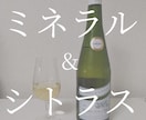 ワイン選びをサポートします 日本ソムリエ協会認定有資格者がサポートします！ イメージ7