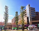 大学受験英語の学習コンサルティングをします 東外大現役合格の卒業生があなたの受験英語を全面サポート イメージ1