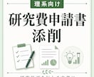 研究費申請書を添削します 研究計画を伝わる文章に整えます イメージ1