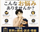 営業資料・提案書・会社案内の改善点を診断します 商談・成約につながらない原因を、資料診断で見える化します イメージ2