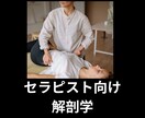 セラピストの為の解剖学の基礎教えます 国家資格・セラピスト歴25年が教える実戦向きの解剖学 イメージ1