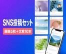 SNS投稿画像と文章セットを制作します 画像5枚と文章10本をまとめて丁寧に制作 イメージ1
