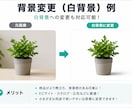 1枚140円～画像の切り抜き・背景透過を行います 1枚からOK！自然で美しく仕上げます！ イメージ5