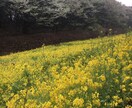 あなたの恋、仕事、人間関係などお悩みごとを占います どちらの方向へ進むか迷った時。 イメージ1