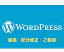 WordPressの部分編集、お悩みを解決します テーマとプラグインの不具合、バグ、編集の仕方がわからない方へ イメージ1