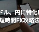 ドル、円のトレード教えます スキャルピング〜スイングトレードまで使える手法！ イメージ1