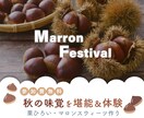 目を引く！バナー広告デザインします 低価格でしっかりサポート！お気軽にご相談を イメージ5
