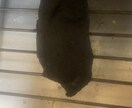 モテ方おしえます あざとくかわいくひかえめに尽くすより尽くされる方法 イメージ1