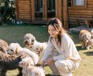 ペット系向けの広告映えするAI画像生成します 【3枚セット】リアル感のあるゆるふわAIモデル画像の生成 イメージ9