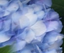 川崎市緑ヶ丘霊園限定：お墓の草むしりと掃除承ります 【3名限定のモニター価格】草が生い茂っていても大丈夫！ イメージ1