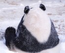 日本語⇔中国語（繁体字／簡体字）を翻訳いたします 台湾出身 実務経験ありの日中翻訳・通訳を丁寧に対応します イメージ1