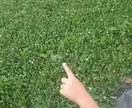小さな事から大きな事まで何でも聞きます 人生いろいろ経験しています。事の大小といません。 イメージ1