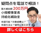 小規模事業者持続化補助金の申請について相談乗ります 申請可能か、どのような手続きが必要かなど電話で相談に乗ります イメージ1