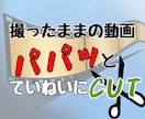 動画の【カット編集のみ】代行します 一言「余計なところを切って」だけ。YouTube実績済！ イメージ2