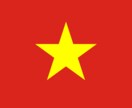 ベトナム語を翻訳します 現地人パートナーと共に正確な翻訳を行います。 イメージ1